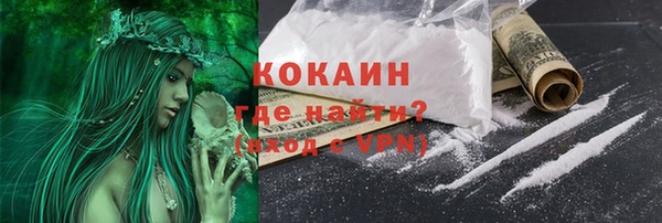 винт Пересвет