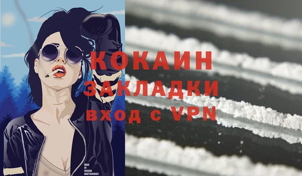 ГАЛЛЮЦИНОГЕННЫЕ ГРИБЫ Осинники